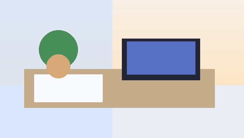 Client paying an invoice online